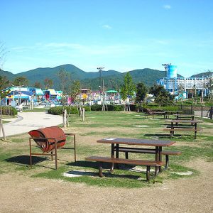 福富_道の駅デイキャンプ