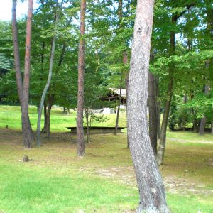 福富_県央の森公園