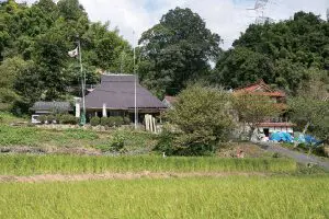 11．門藤農園_外観