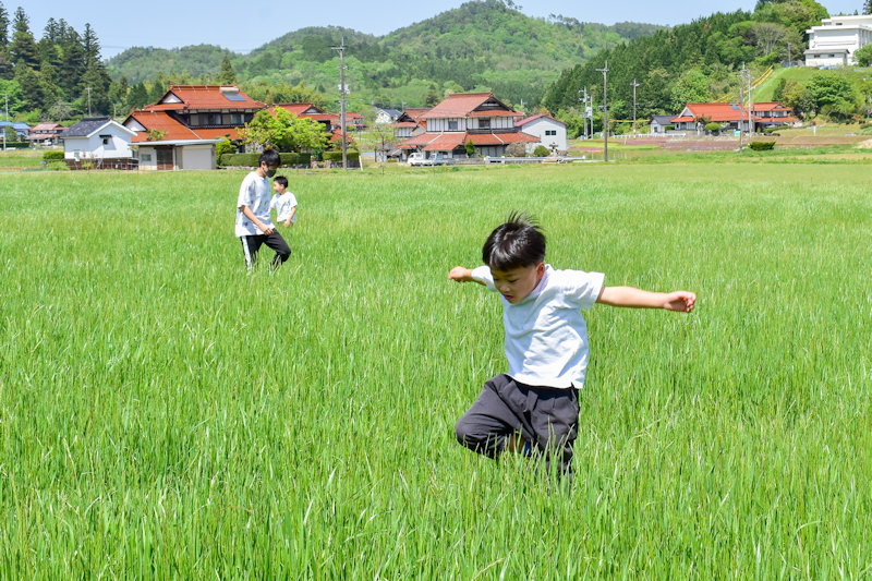 牧草地でジャンプ