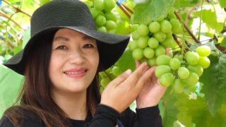 菊田農園